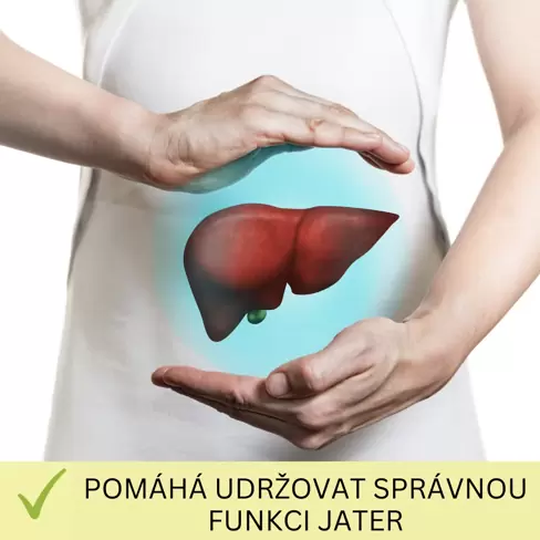 2 za cenu 1! CYNASINE DETOX pro očištění organismu a detox